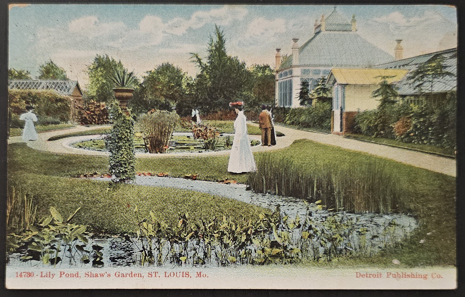 (image for) postcard USA - MT - Montana #0008